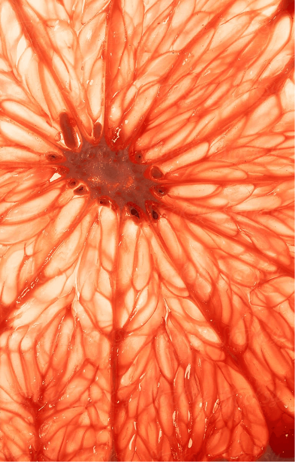 Image without alt