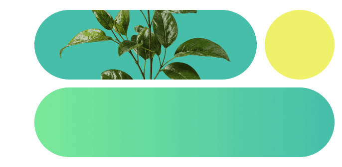 Image without alt