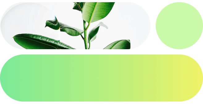 Image without alt