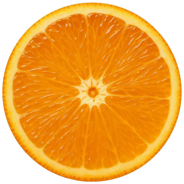 Image without alt