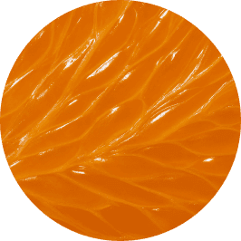 Image without alt