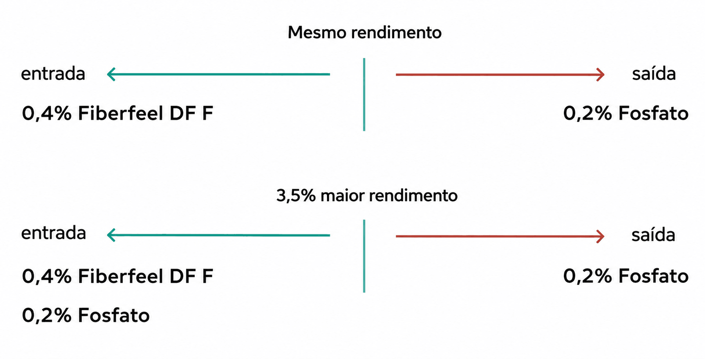 Image without alt